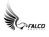 Logo Falco Servizi
