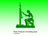 Logo Dotto Francesco Consulting Green