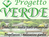 Progetto Verde - Messina
