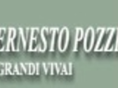 Ernesto Pozzi Grandi Vivai