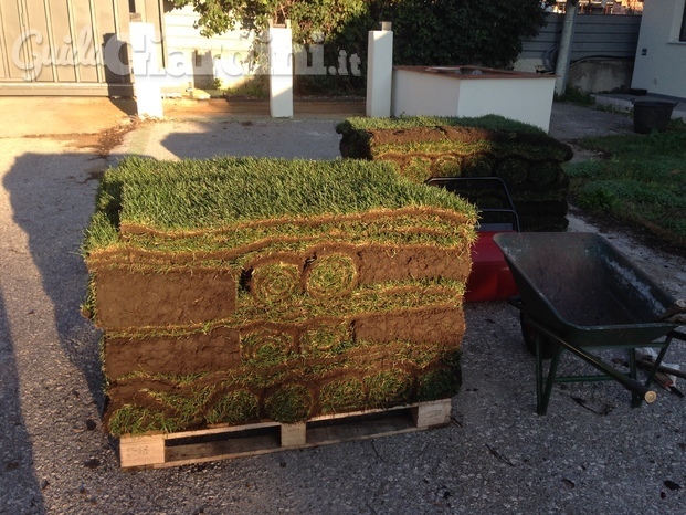 Integrazione tappeto erboso con nuovo tappeto pronto di Festuca a Palermo - Il prato in rotoli
