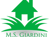 Logo M.S Giardini