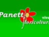 Floricoltura Panetto