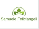Samuele Feliciangeli