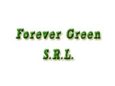 Forever Green S.R.L.