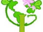 Logo Green Line Snc