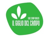 Logo Coop il giglio del campo