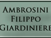 Ambrosini Filippo Giardiniere
