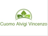 Logo Cuomo Alvigi Vincenzo
