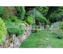 Progettazione E Realizzazione Giardini Catalogo ~ ' ' ~ project.pro_name