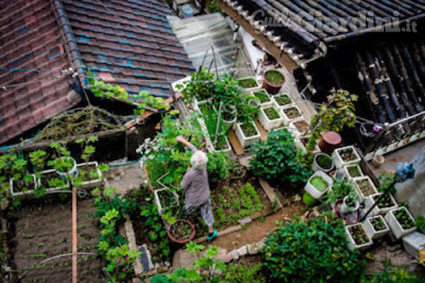 Il giardino pensile è un’arte