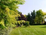 Sognare e realizzare il giardino ideale grazie al rendering