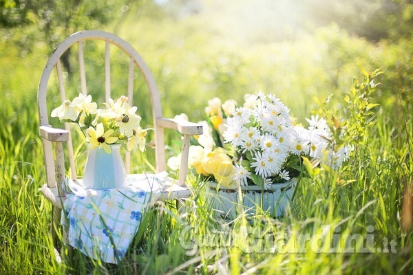 Come curare il giardino durante le ferie?