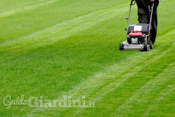 Come non passare tutti i fine settimana a tagliare l'erba (ma a godersi il giardino)