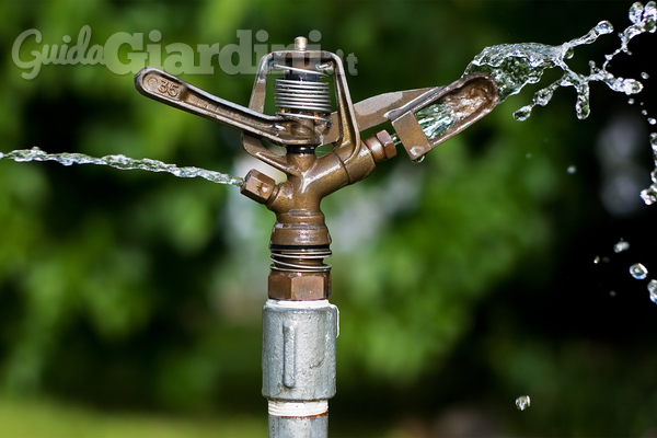 Irrigazione di giardini e aree verdi