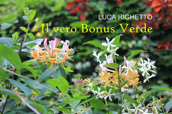 IL VERO "BONUS VERDE"