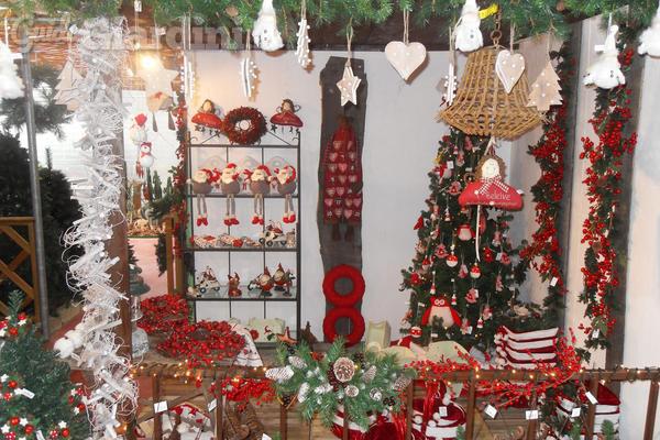 Come decorare con le piante a Natale