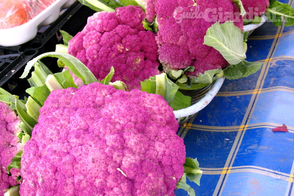 Come realizzare un orto giardino sano e colorato