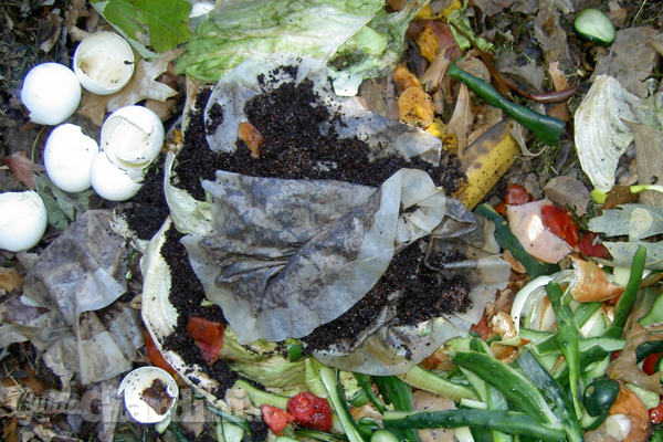 Come fare il compost in 3 semplici mosse