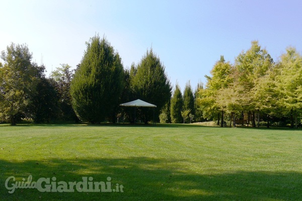 Come preparare il giardino per l’arrivo dell’estate