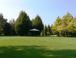 Come preparare il giardino per l’arrivo dell’estate