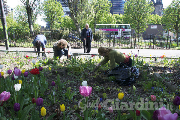 La Guerrilla Gardening fa rifiorire la città