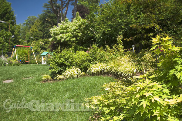 Come sfruttare la vegetazione spontanea del giardino