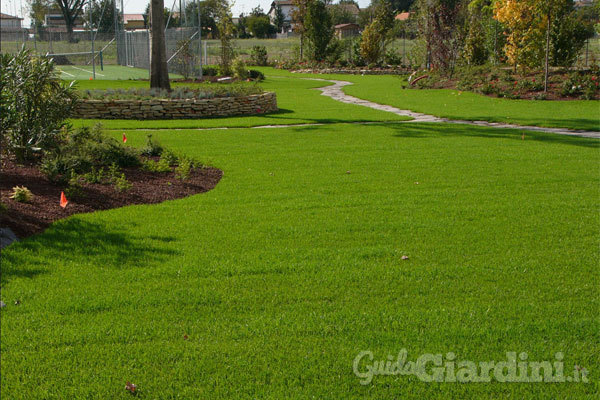 Le  novità nel campo del giardinaggio raccontate da Verdeacqua