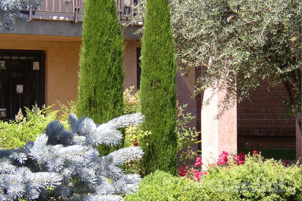 Il giardino all'italiana è il più amato da Eleonora Cremonesi