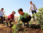 Dopo la guerra il giardinaggio: nuova vita per i rifugiati siriani