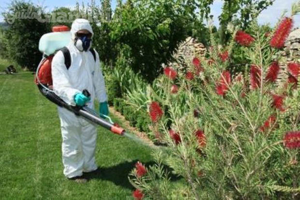 Come evitare i parassiti nel giardino