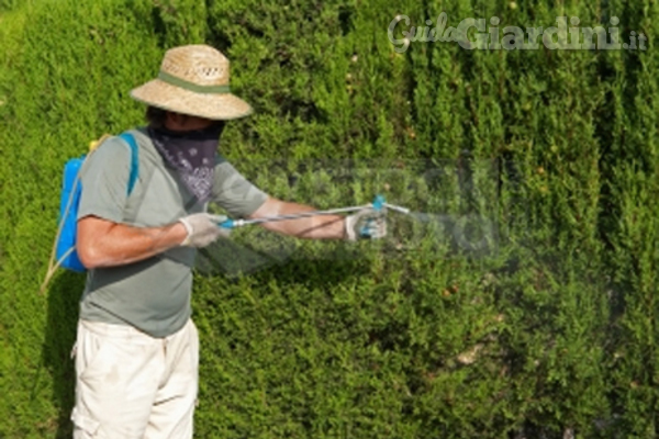 L'abusivismo nel settore del giardinaggio