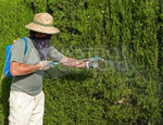 L'abusivismo nel settore del giardinaggio