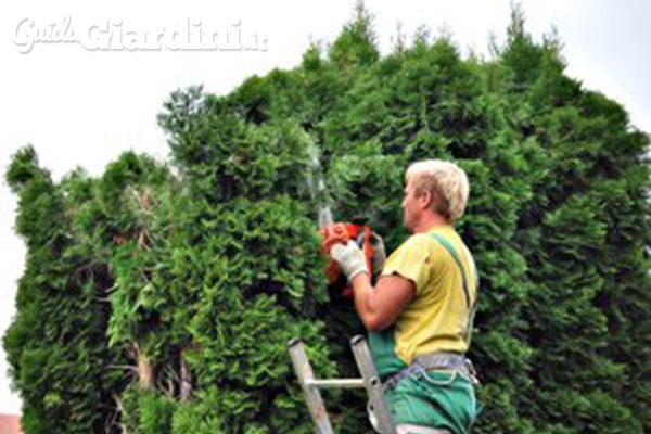 Gli insetticidi naturali