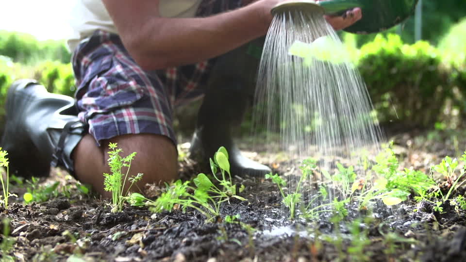 820178061-jardin-ouvrier-arroser-arrosoi