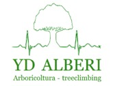 YD Alberi