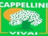 Vivai Piante Capellini Rossano