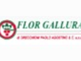 FLOR GALLURA