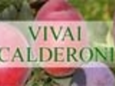 Vivai Calderoni