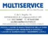 Multiservice