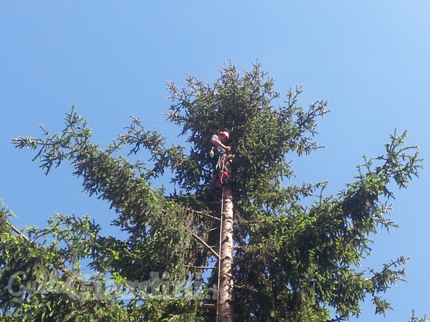 Perugia Tree Climbing