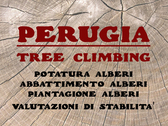 Perugia Tree Climbing