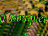 Il Bouquet