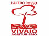 Logo L'Acero Rosso Vivai