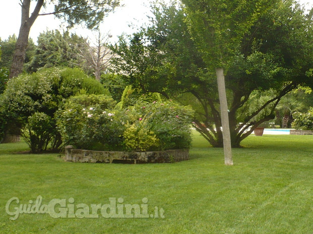 GIARDINO VILLA 3.3