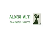 Alberi Alti