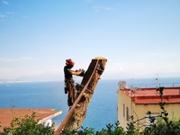 Vittorio Coppola Climber