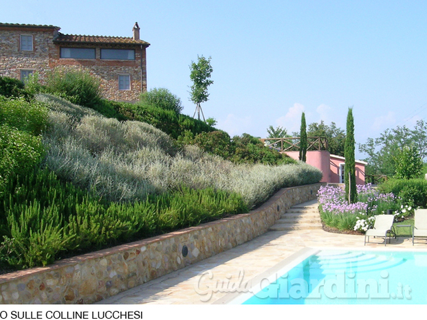 Giardino sulle colline lucchesi