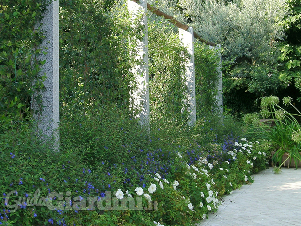 Giardino in Versilia