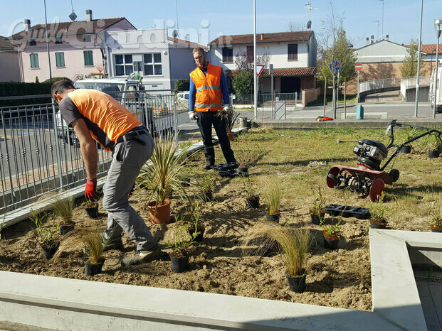 Realizzazione aiuola in vasca con piantumazione di graminacee.jpg